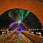 The Dallas World Aquarium