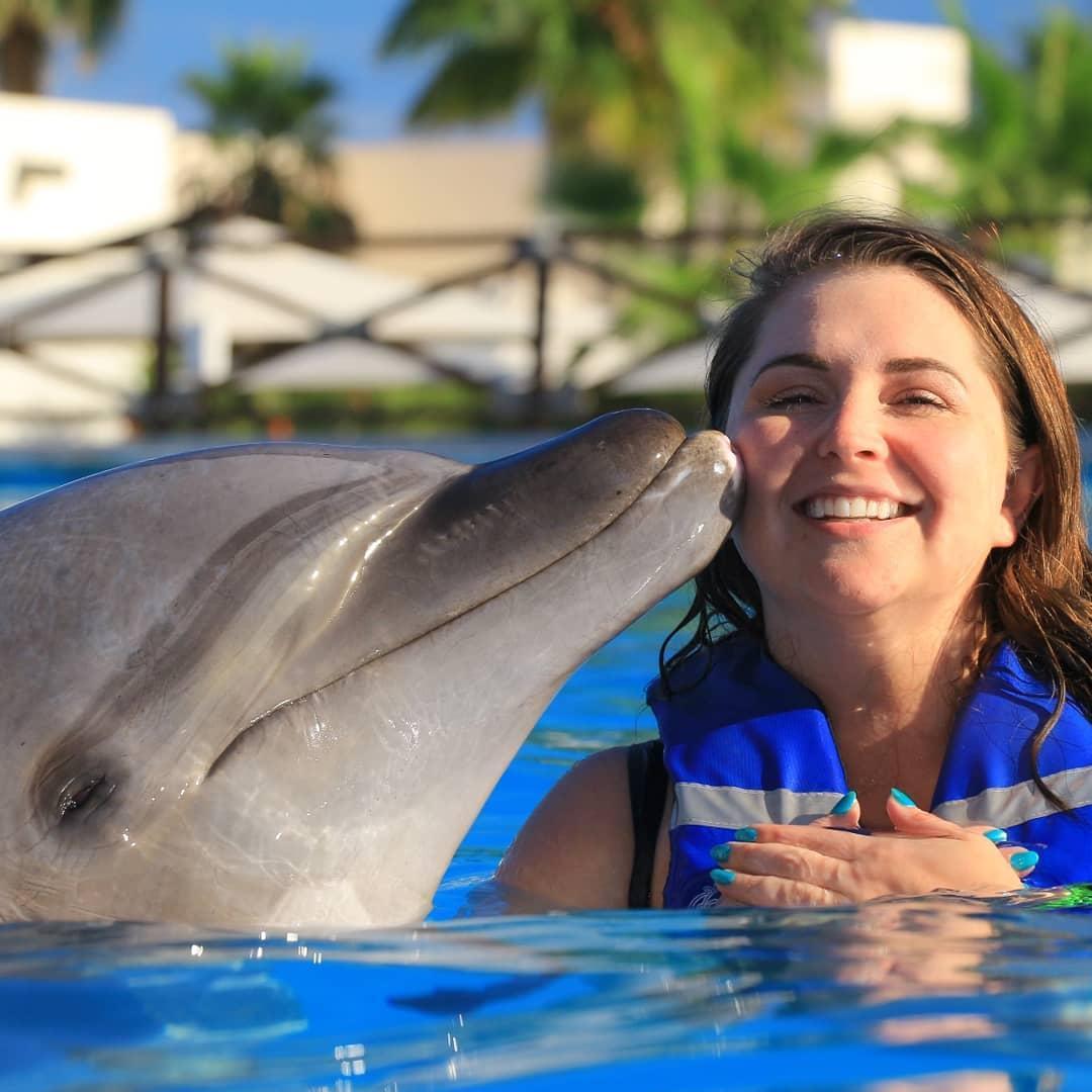 San Jose del Cabo dolphins