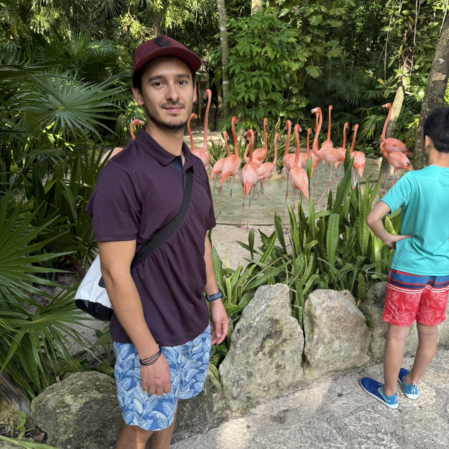 Told ya, he loves flamingos.