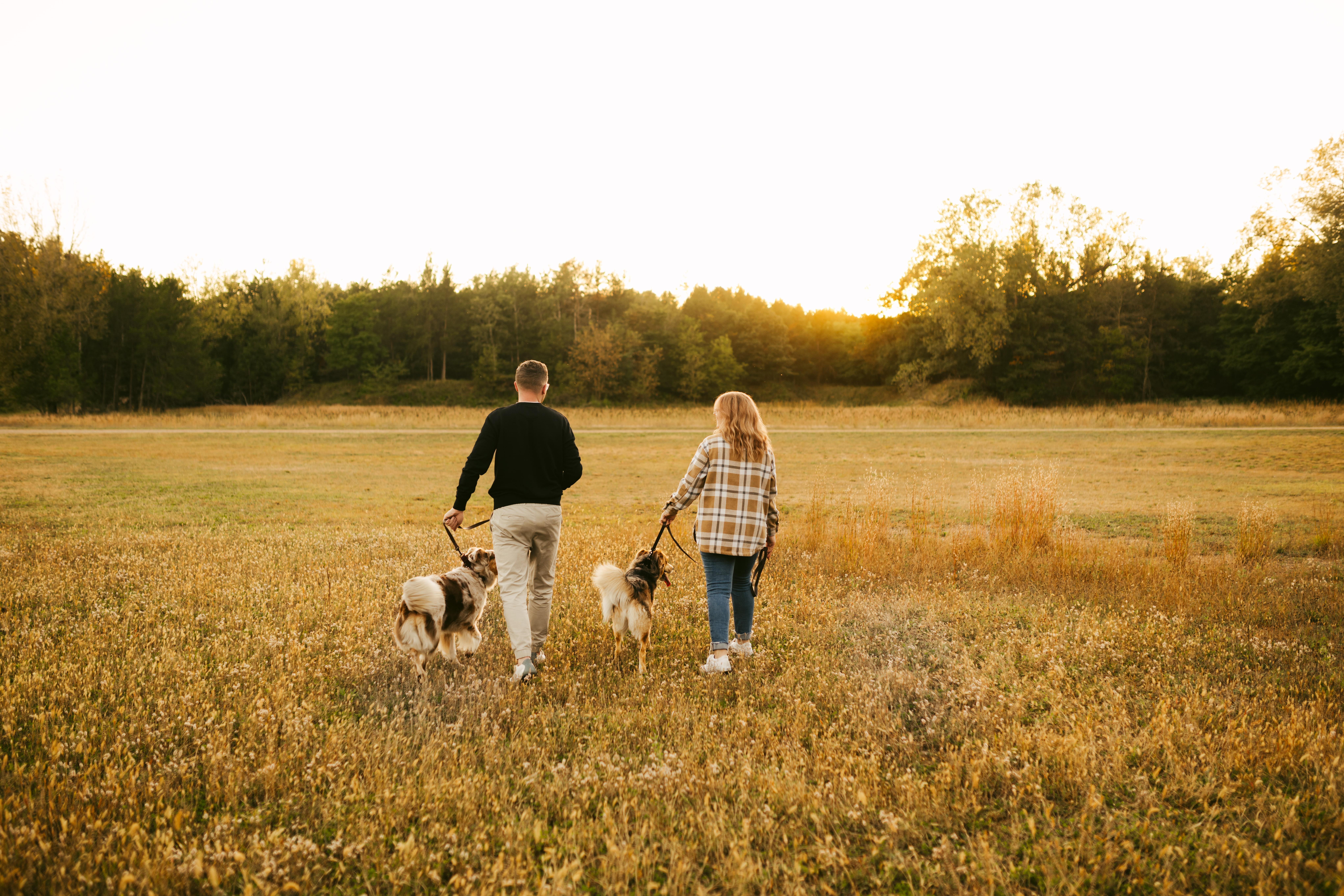 The Wedding Website of Tiffany Bruhn and Andrew Carlson