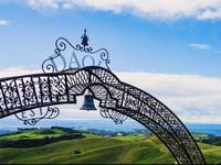 DAOU Vineyards & Winery