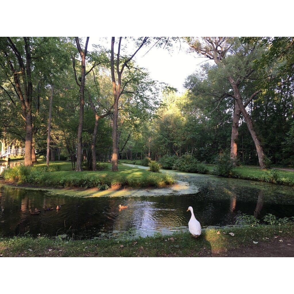 L'arboretum du domaine Maizerets est un véritable musée vivant : il compte quelque 15 000 arbres, arbustes et plantes vivaces.