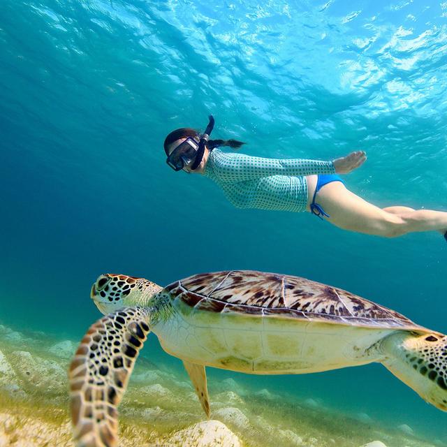 Snorkling in Cozumel