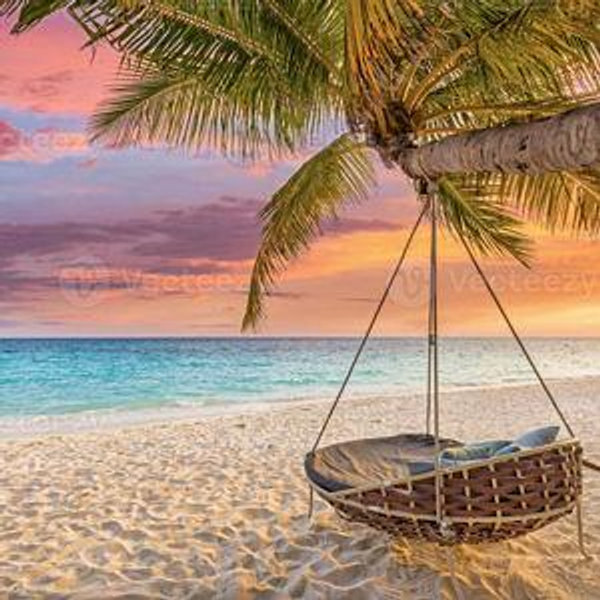 Honeymoon Fund