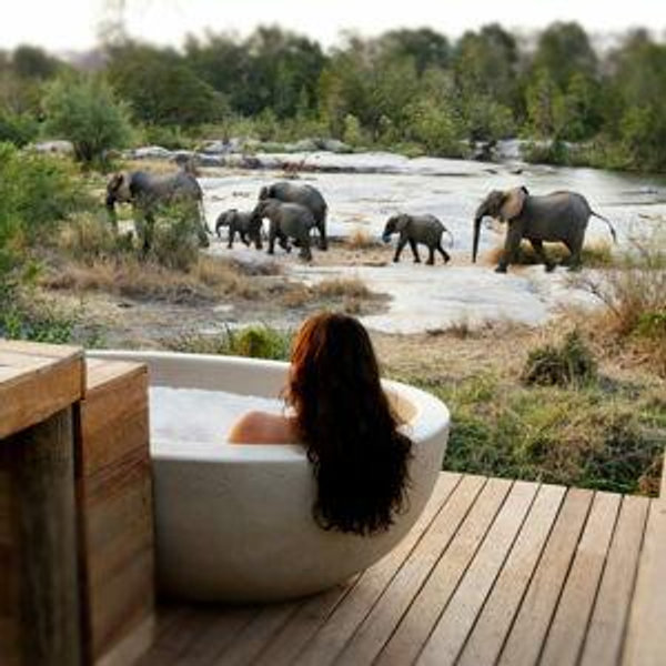 Our Dream Honeymoon fund