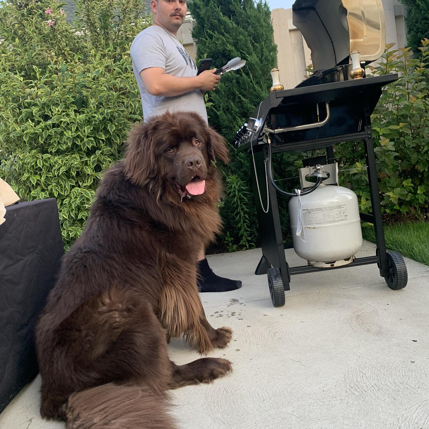 New house, new grill! 2023