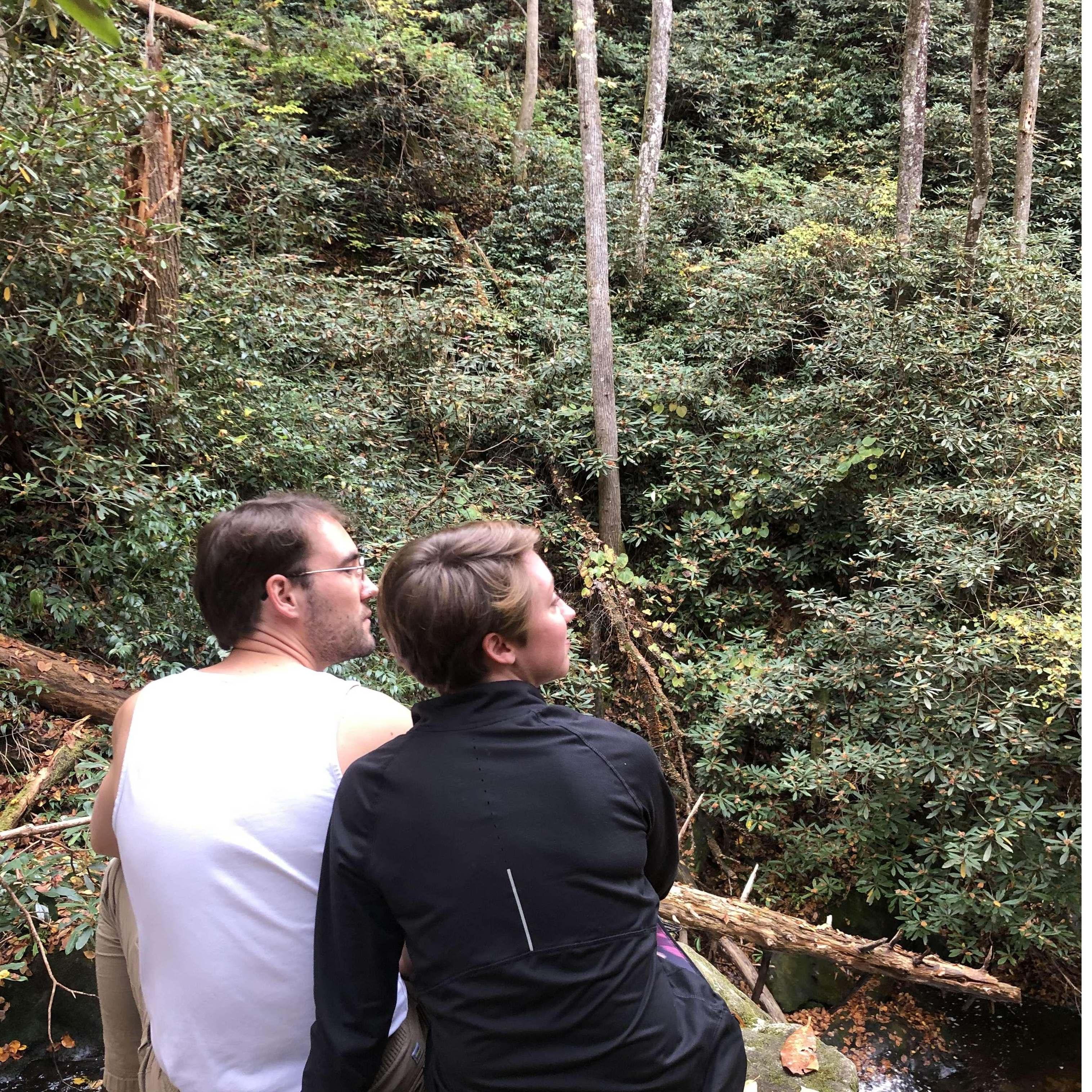 Hiking in the Great Smokey Mountains
