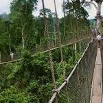 Kakum National Park