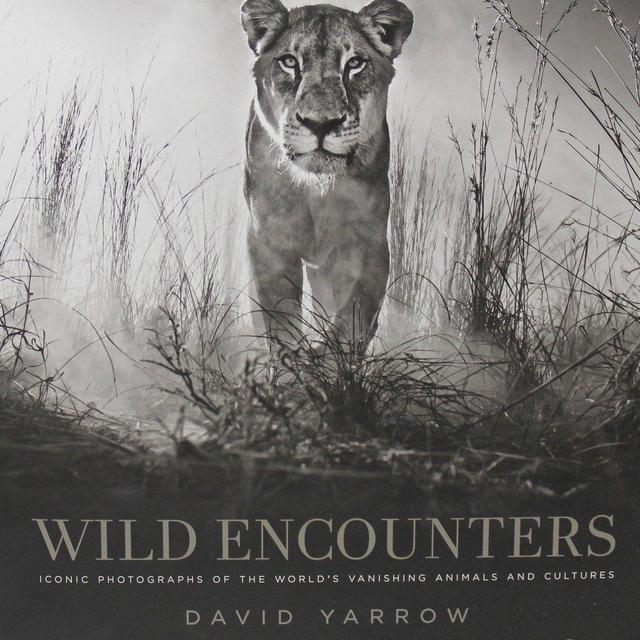 David Yarrow: Wild Encounters