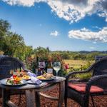 Russian River Vineyards