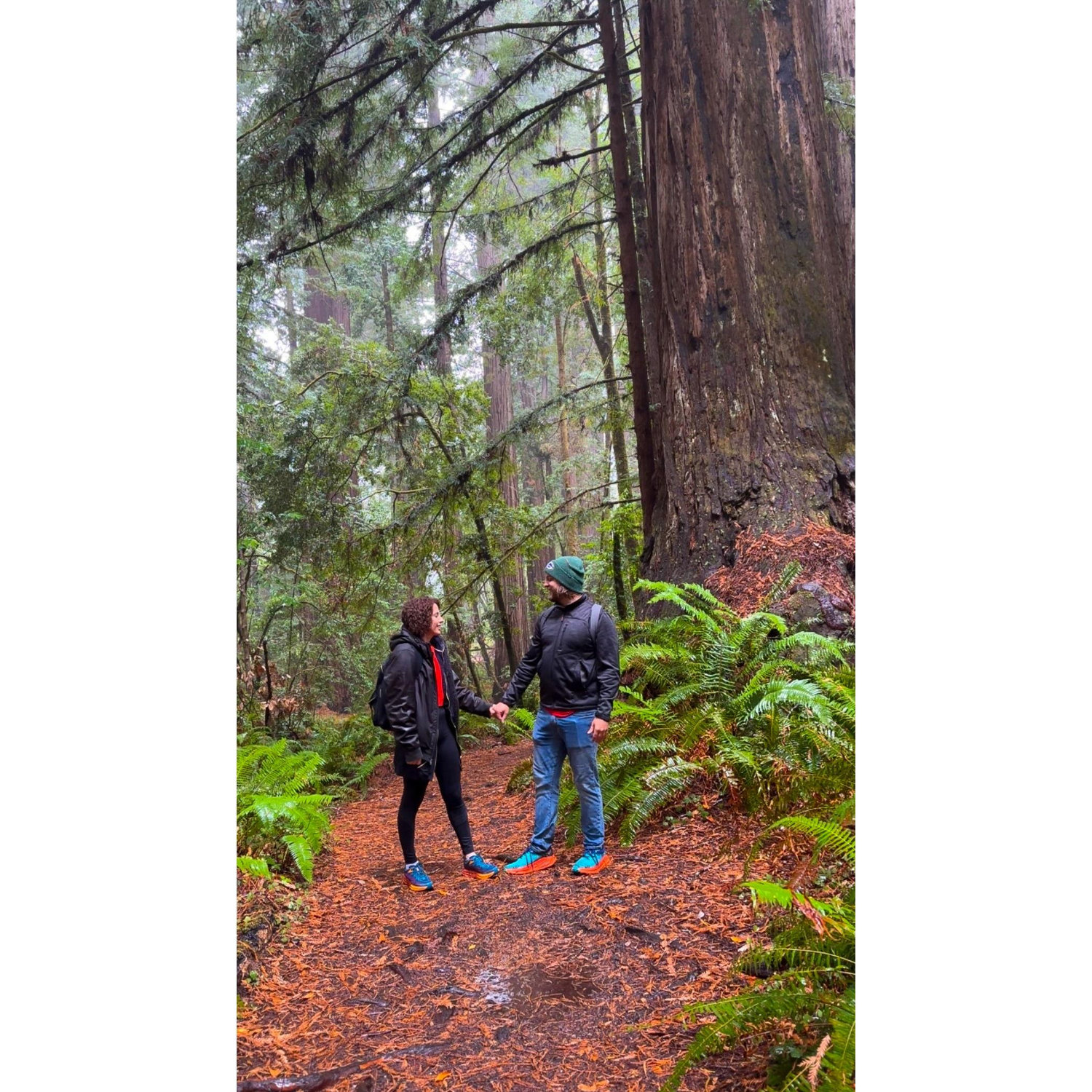When we went to the Redwoods