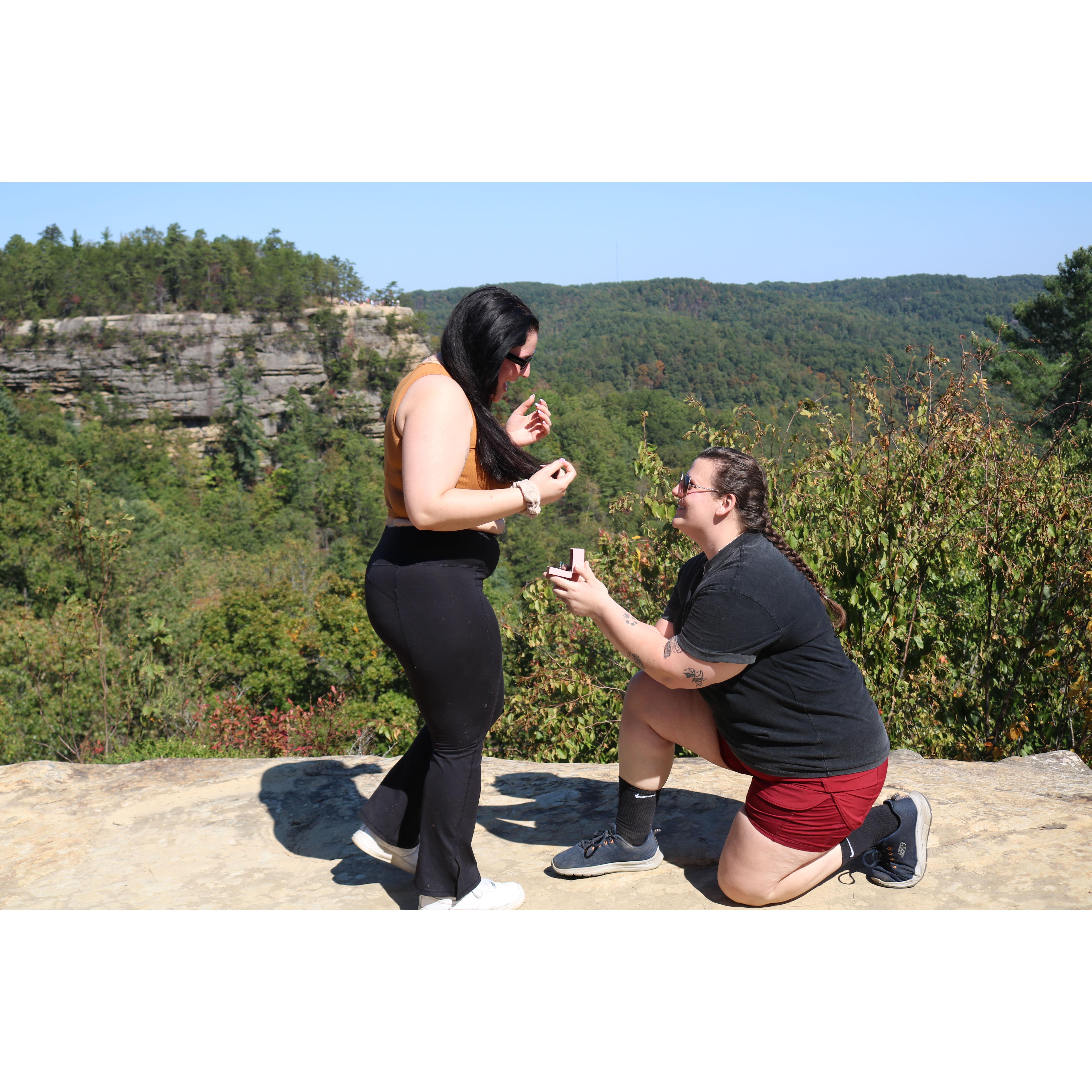 The Proposal!