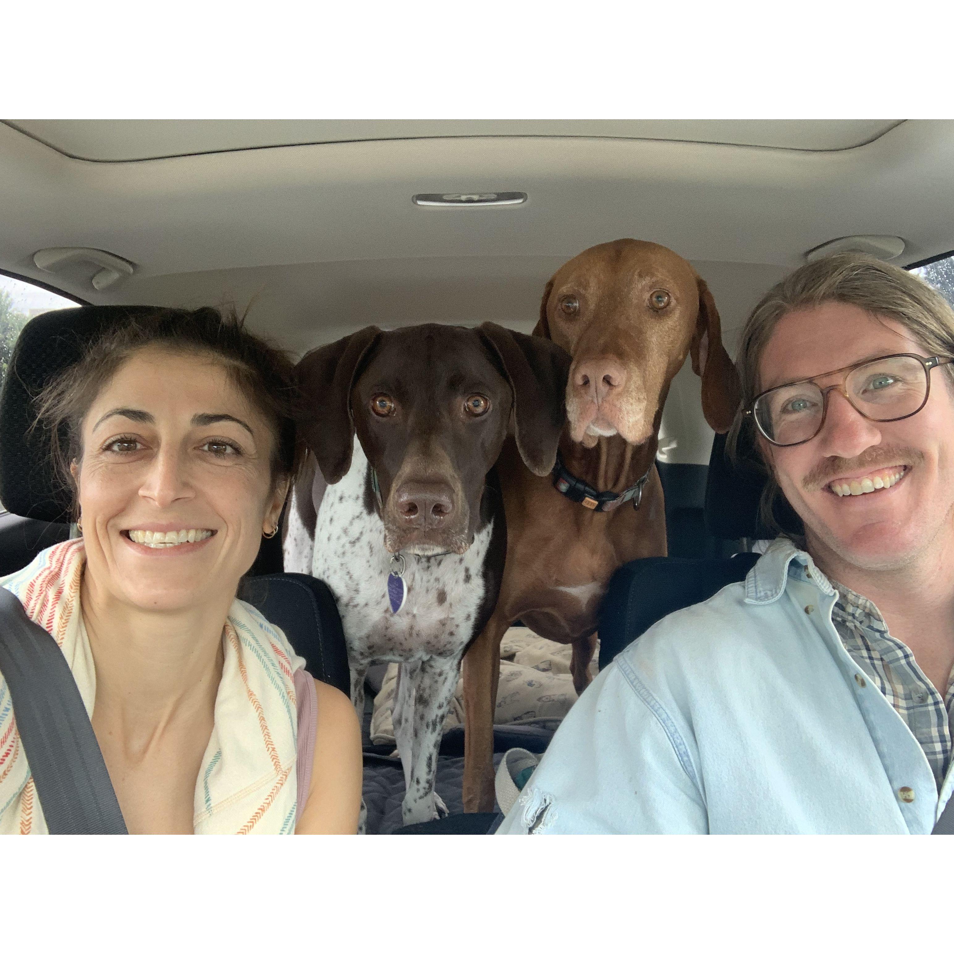 Did we tell you we adopted another pointer, named Ava? Just kidding.