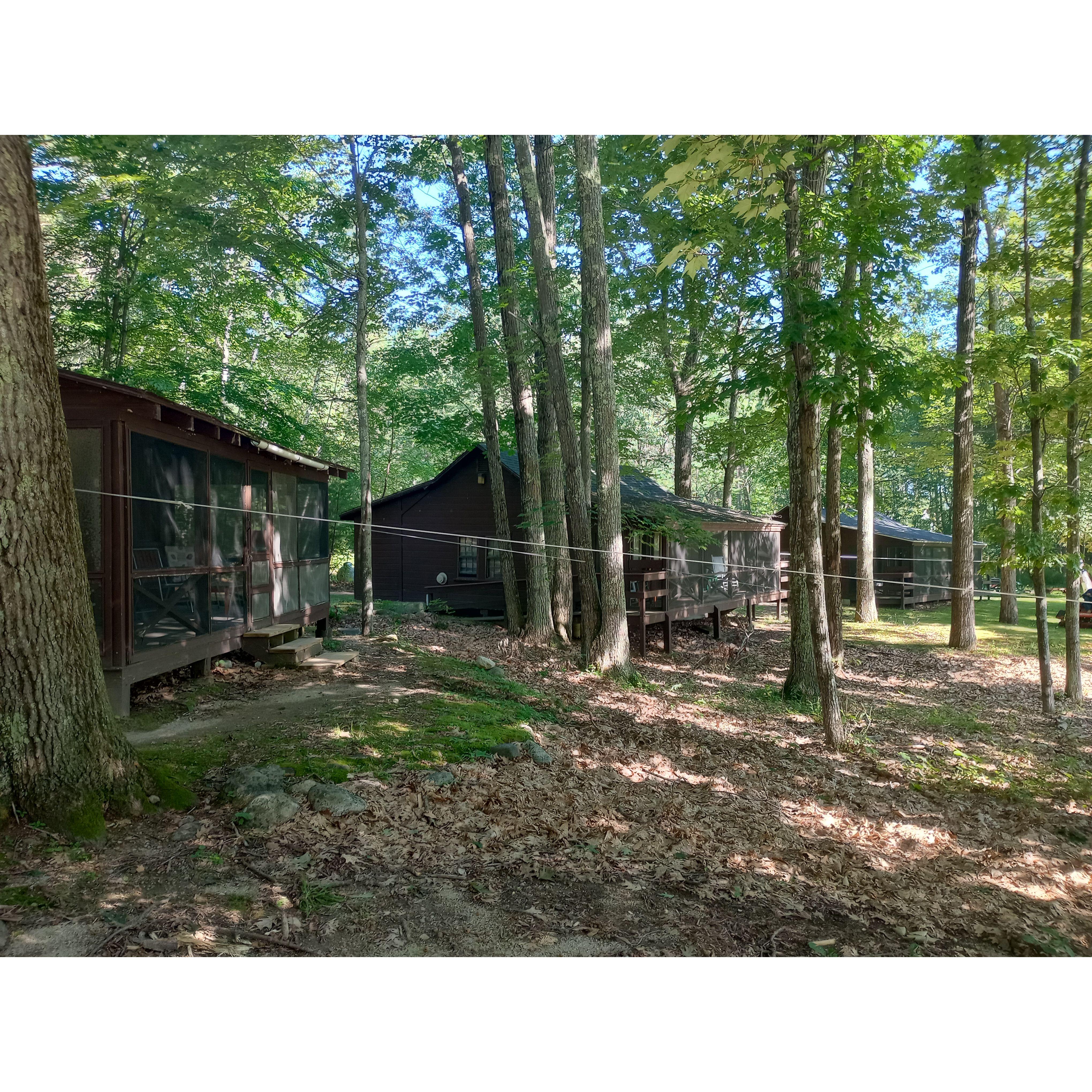 Lake View Cabins- two rooms per cabin have a shared screen porch.