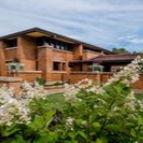Frank Lloyd Wright's Darwin Martin House
