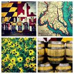Lyon Distilling Company