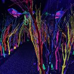 Meow Wolf Santa Fe
