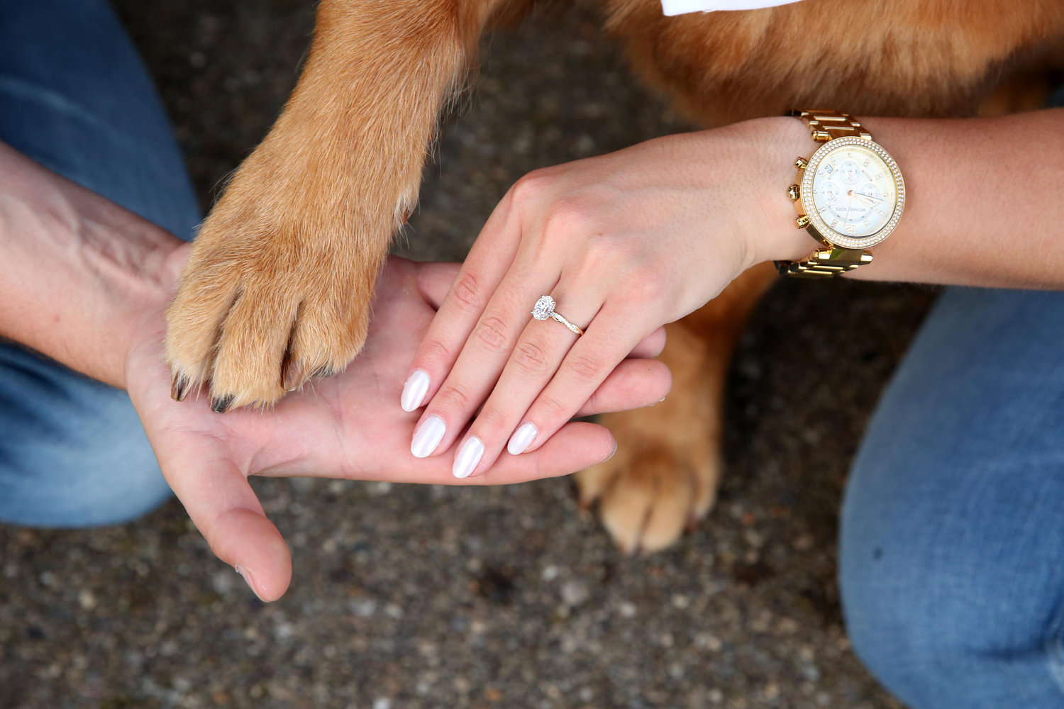The Wedding Website of Hannah Smolensky and Scott Miller