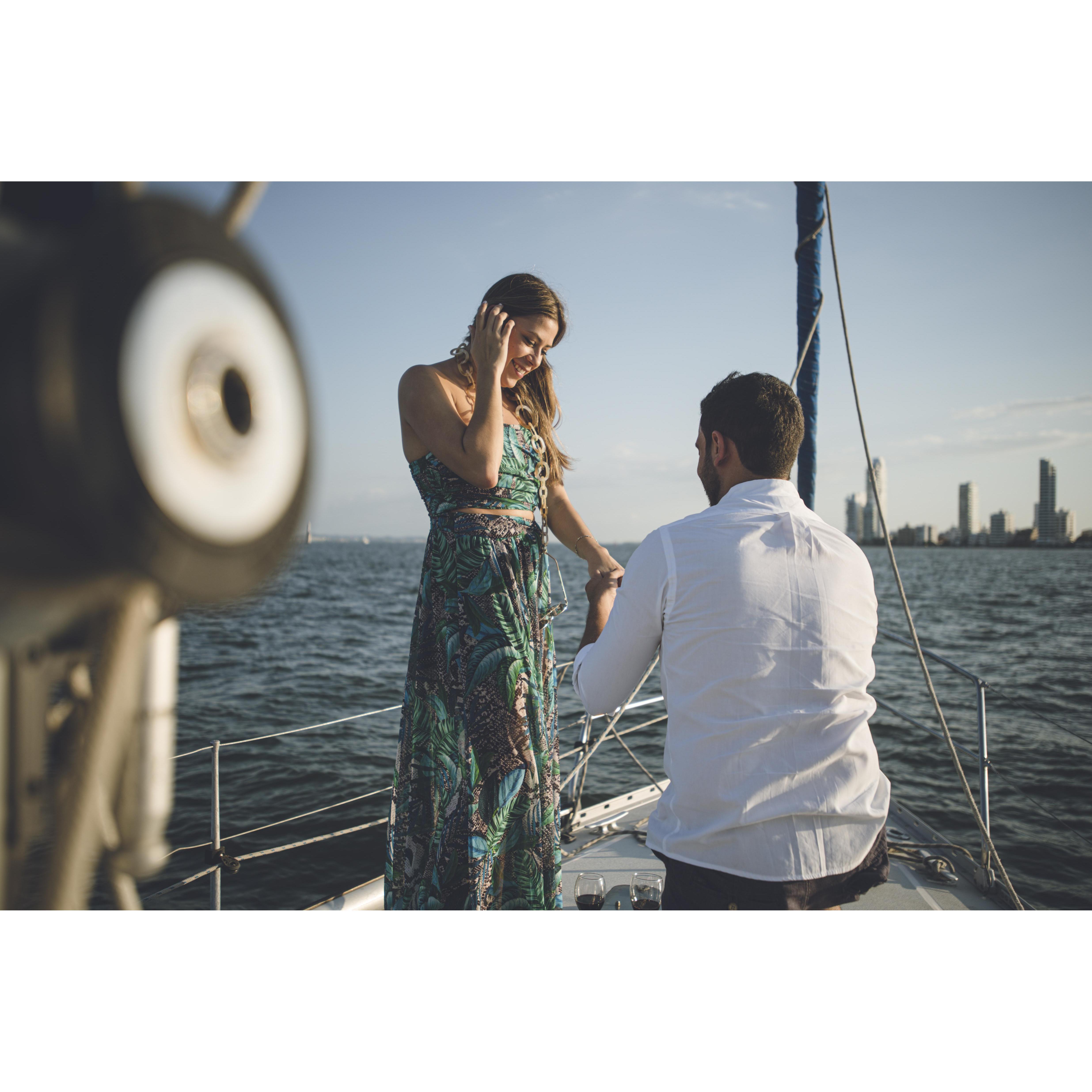 The Proposal
1.12.19