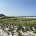 Crane's Beach