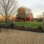 Baker Buffalo Creek Vineyard