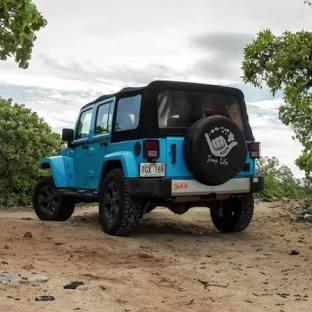 Jeep Rental on Lanai