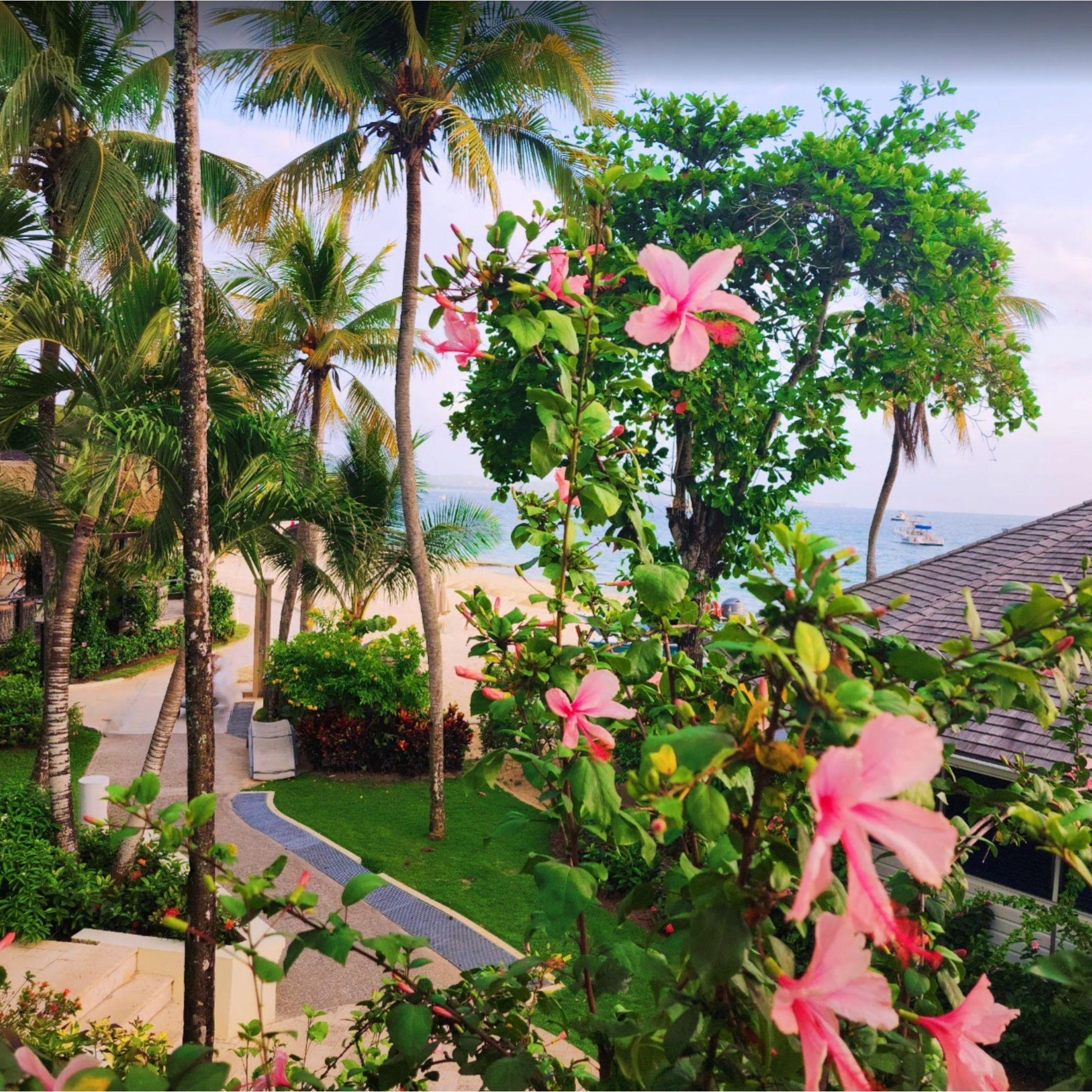 Living in a postcard, with flowers and foliage as far as the eye can see