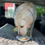 Freighthouse Market & Cafe