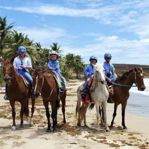 St. Lucia Horseback Riding Trip