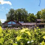 Tabor Hill Winery & Restaurant