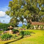MauiWine