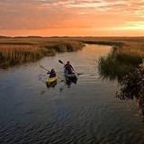 Rent Kayaks