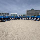 Tony Silvagni Surf School & Beach Rentals
