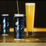 Modestman Brewing