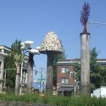 Ballard Market