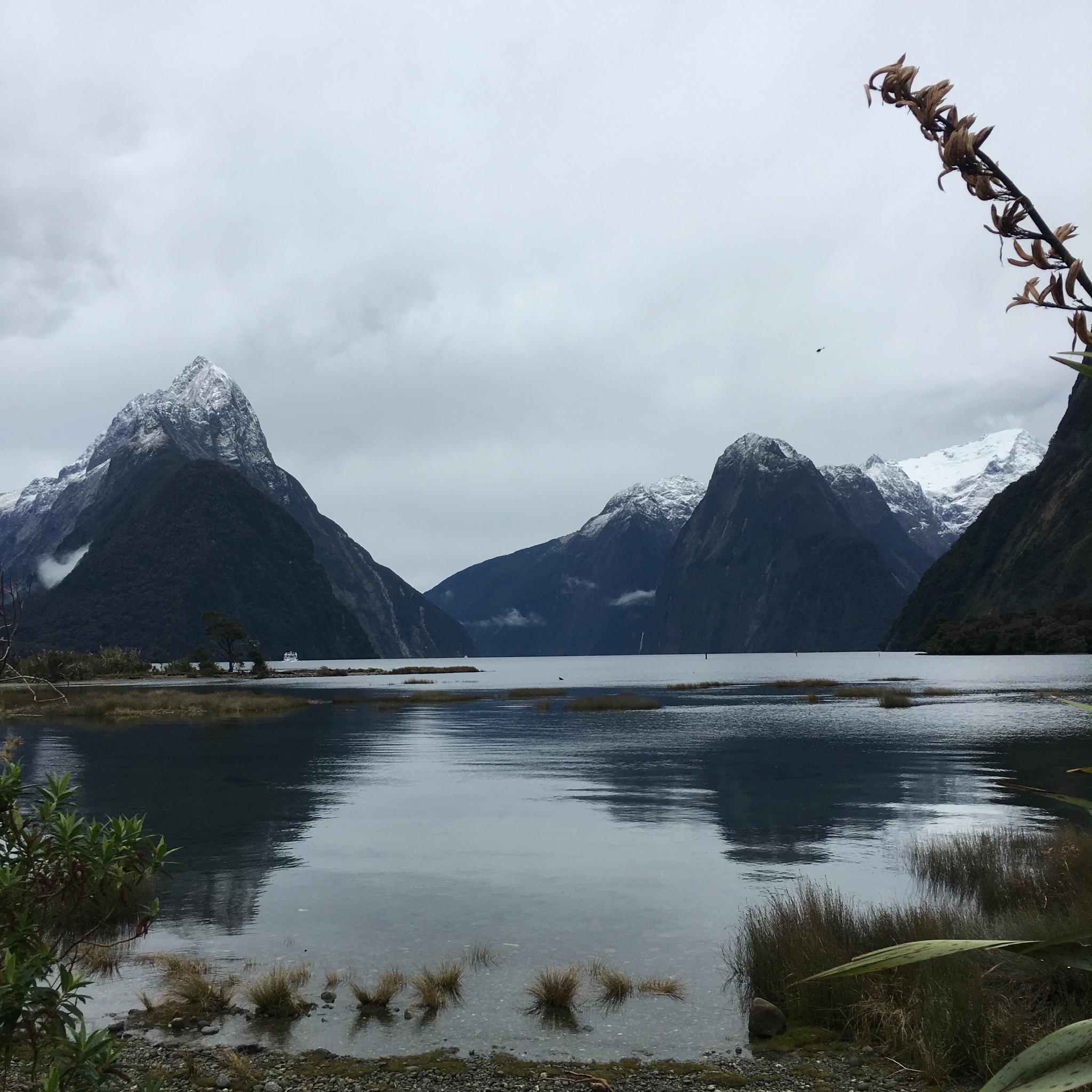 The peaks and fjords of Piopiotahi.