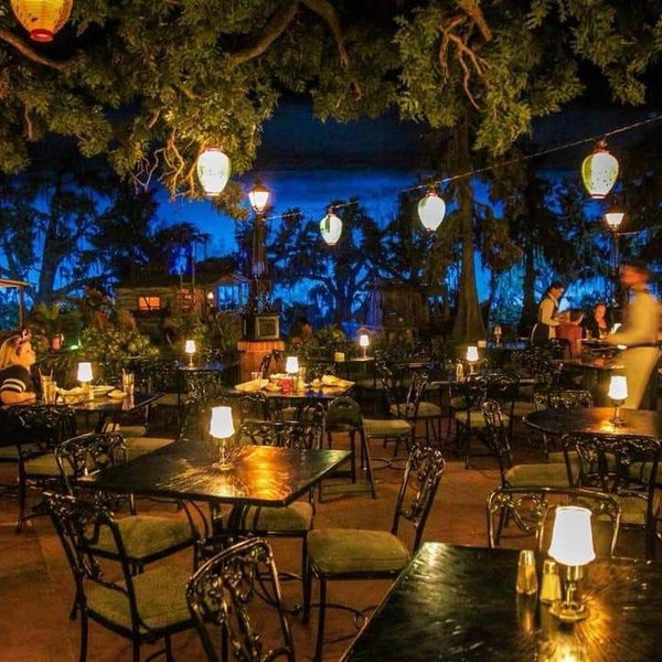 Disneyland Dinner