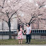 Roosevelt Island Park