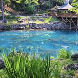 Blue Spring Heritage Center