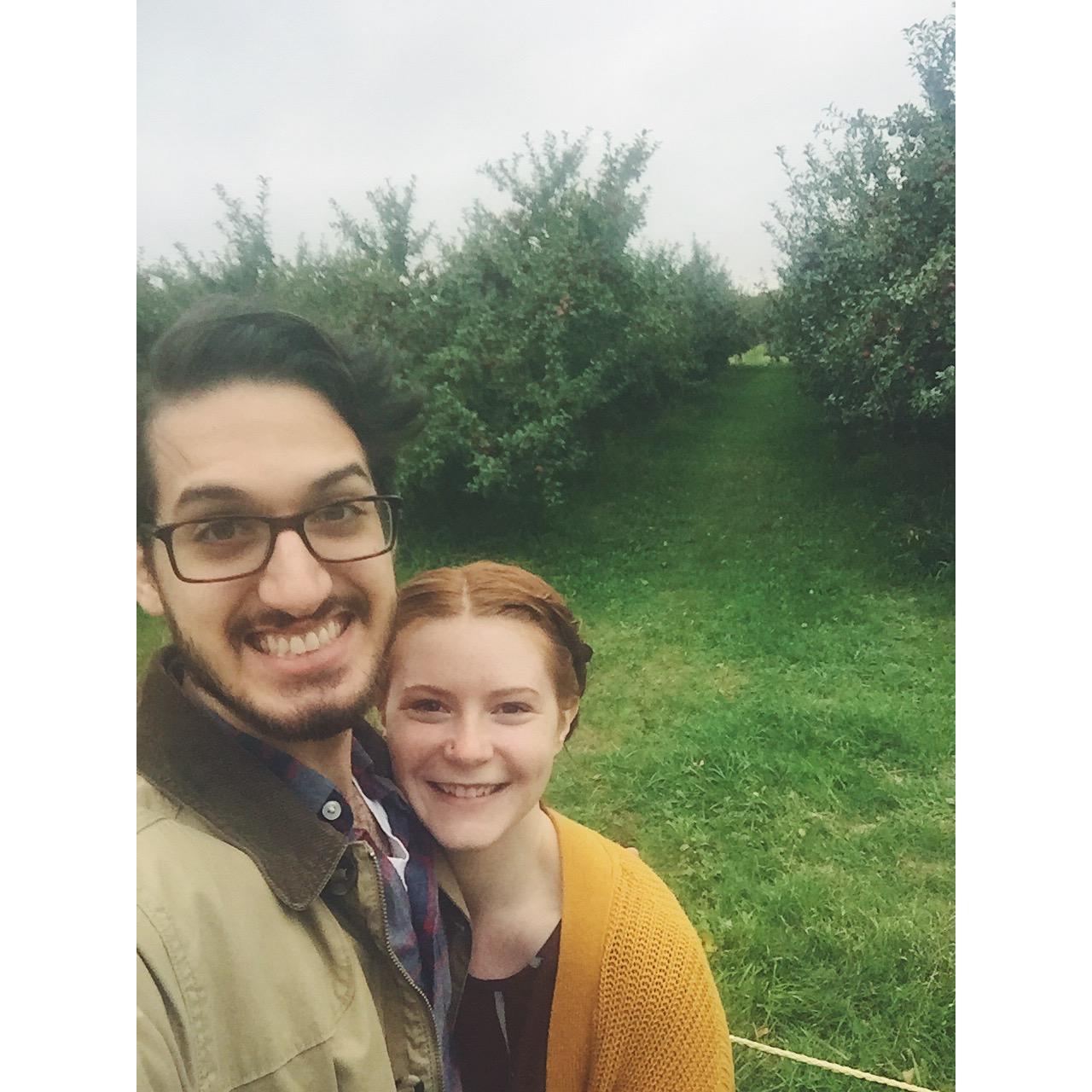 October 2018. Apple picking.