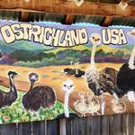 Ostrichland USA