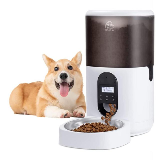PETODAY Automatic Cat Feeder, Dog Food Dispenser with Stainless Steel Bowl, 10s Voice Recorder Up to 4 Meals Per Day, Timed for Small / Medium Pets (4L & 6L)