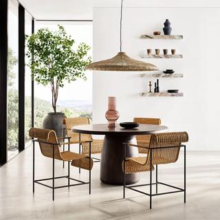 Alvar Dining Arm Chair