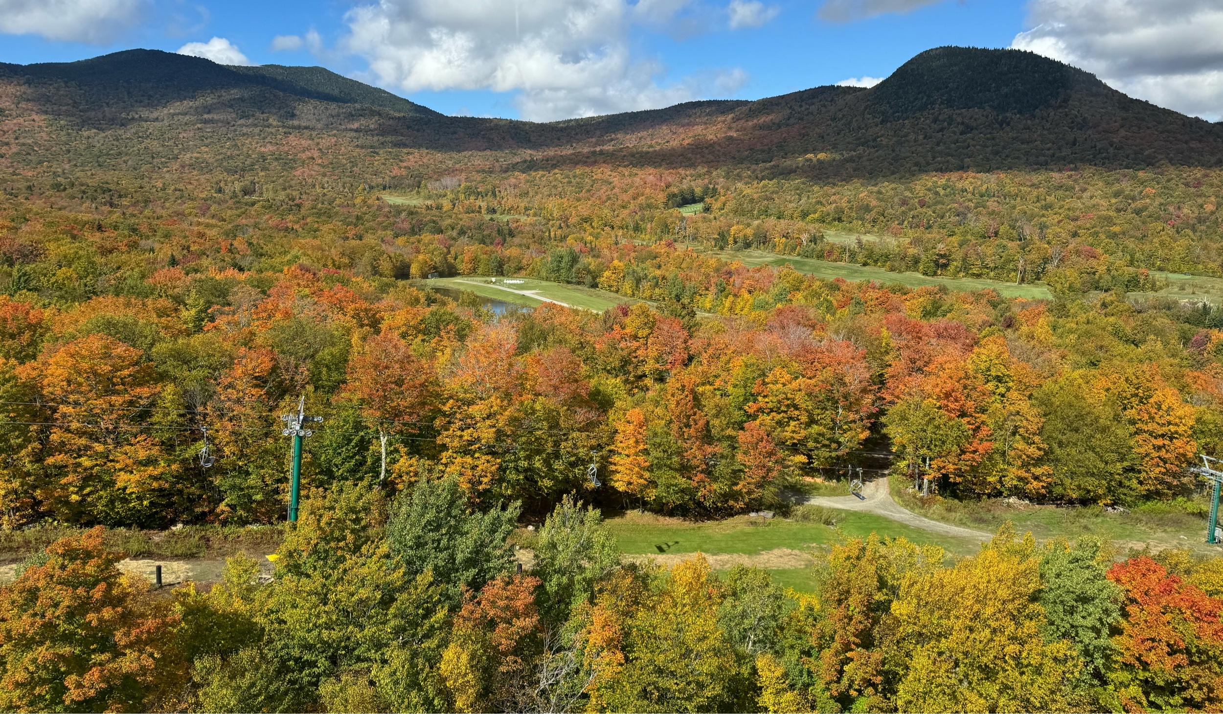 The Wedding Website of Matthew Houseman and Meredith Parker