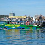 Harbour Hopper Tours