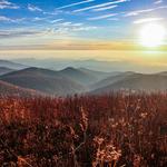 Black Balsam Knob Hike