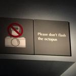 Monterey Bay Aquarium
