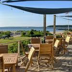 Minnow At The Galley Ho