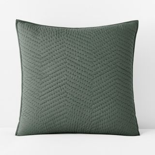 Company Cotton Voile Euro Sham