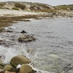 Asilomar State Beach